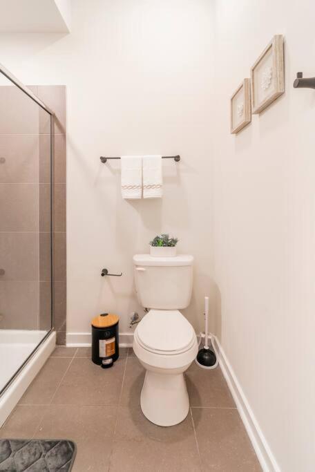 Charming Cozy Apartment With Wi-Fi & Free Parking 샬럿 외부 사진